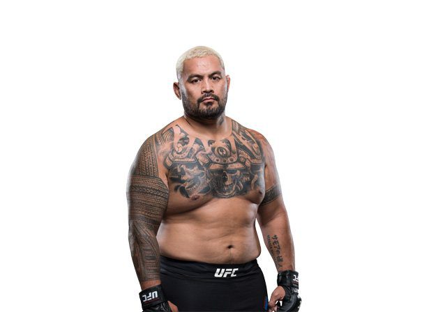 Mark Hunt MN2S