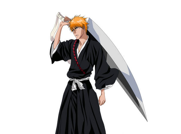 bleach anime MN2S