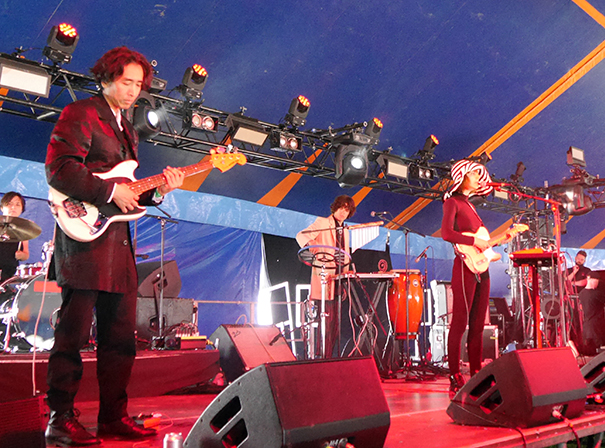 Vanishing Twin