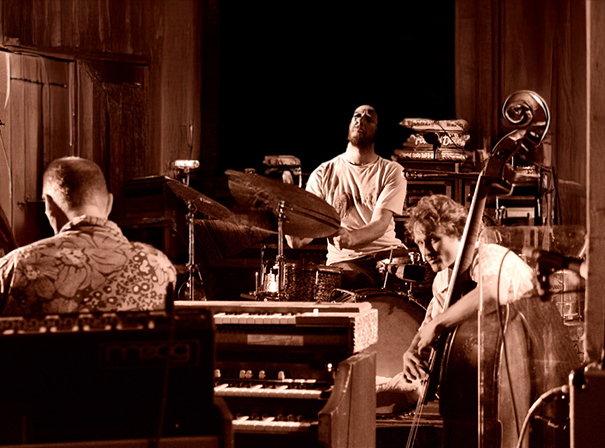 Medeski Martin & Wood